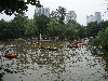 Am Sonntag im Volkspark von Chengdu