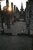 Sonnenuntergang im Sukhothai Historical Park